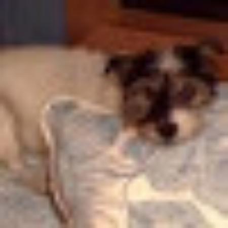 photo of bicoastaldreaming