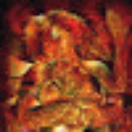 photo of throughmyeyes7