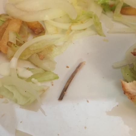 Photo by CHGriffiths