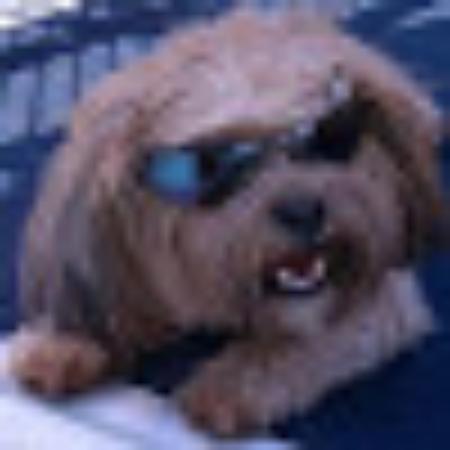 photo of MichaelTorpey1