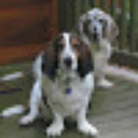Photo of CindyTesar