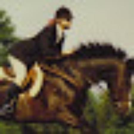 photo of Whippethill