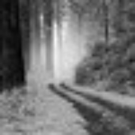 photo of T7650HKianw