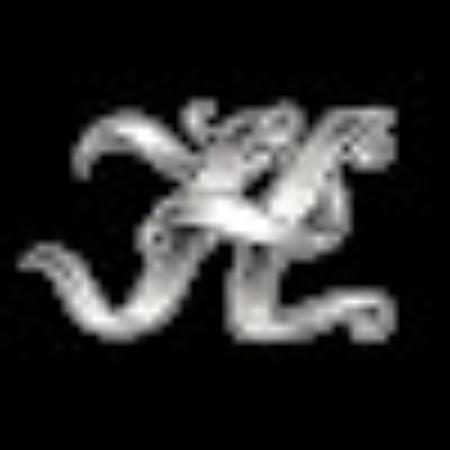 photo of Y4530EGchrisv