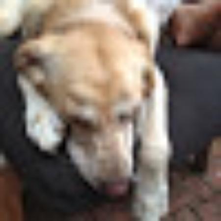 photo of Scipiotrout