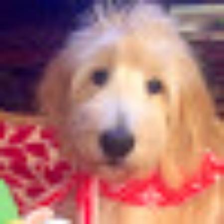 Photo of Kim R