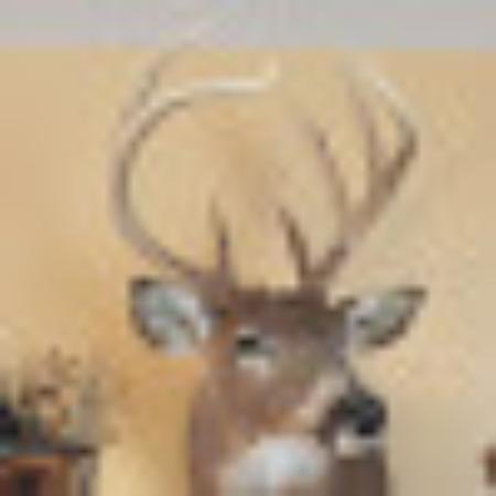 Photo of philcV3435SN