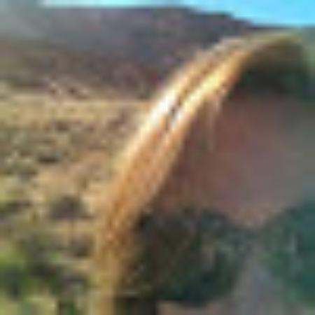 Photo of 581shannab