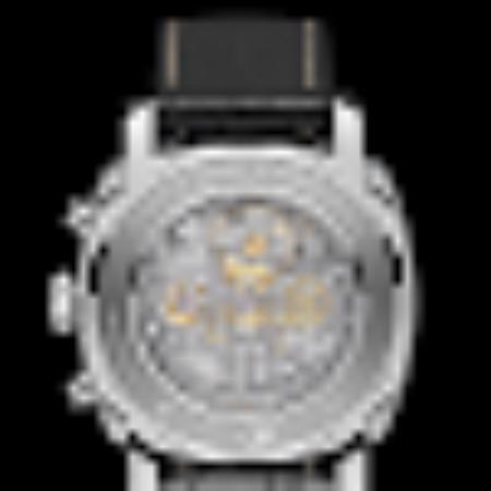 photo of scottybrowndog