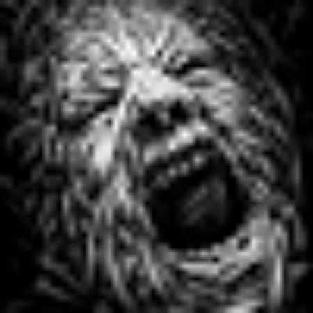 photo of L6943RXleeb