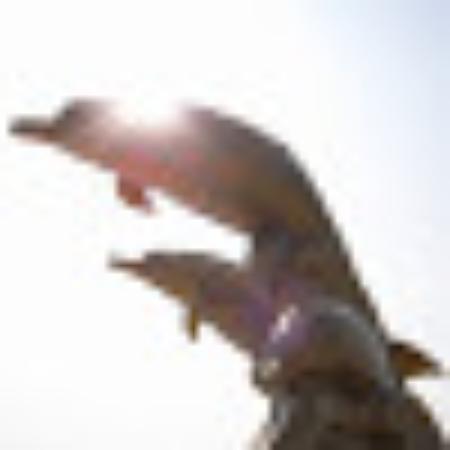 photo of Alexander C