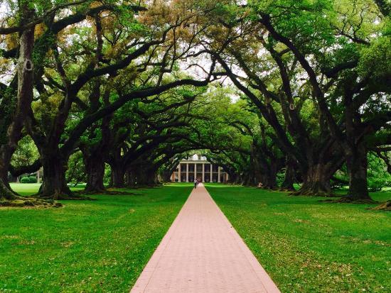 Old River Road Plantation Adventure