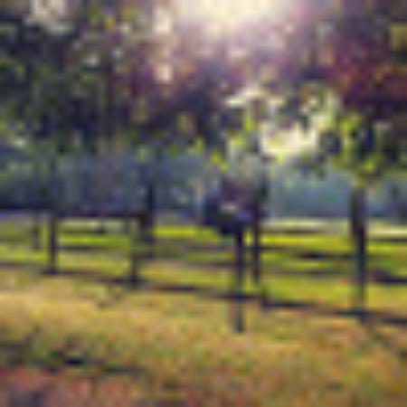 photo of 793franciem