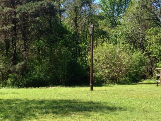 Photo by dolphin_watcher19