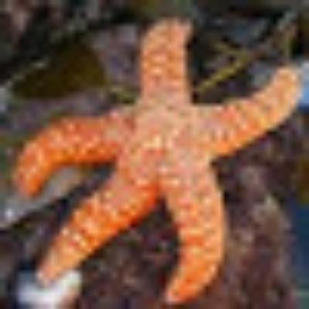 photo of 2012intouch