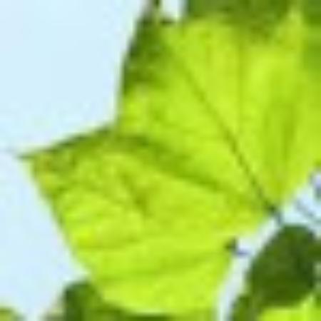 photo of MichalK2451