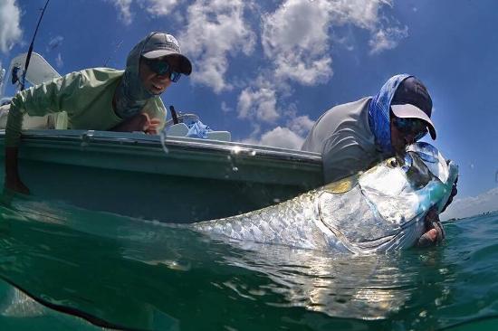 Fly Fish Boca Grande