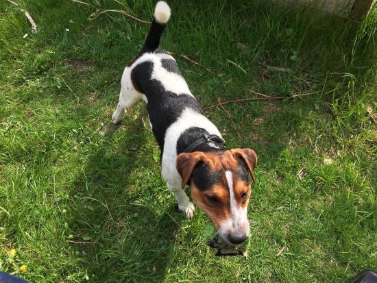 Ferielejligheder - Laeso Glaspusteri