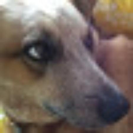 photo of victorag2016