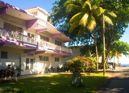 Ann Wigmore Natural Health Institute