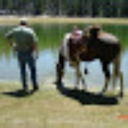 Photo of phoxtrot