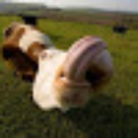 Photo of Rob H