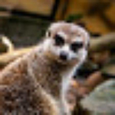 photo of justinlY9538KA