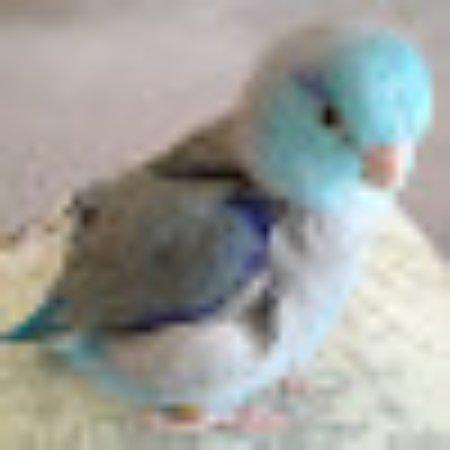 Photo of 967albak