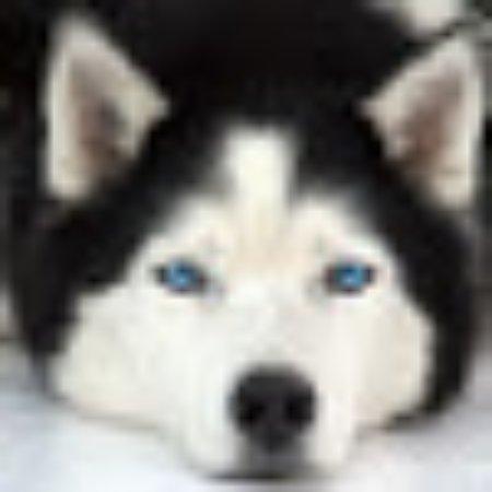 Photo of Savannah W