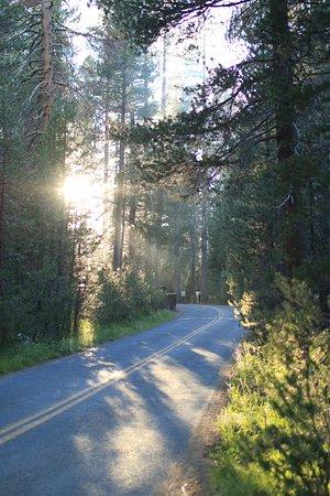 Bridalveil Creek Campground