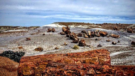 Crystal Forest Trail
