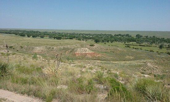 Cimarron National Grassland