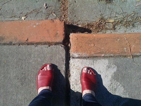 Hayward Fault Exposed