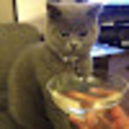 photo of camelfarmer