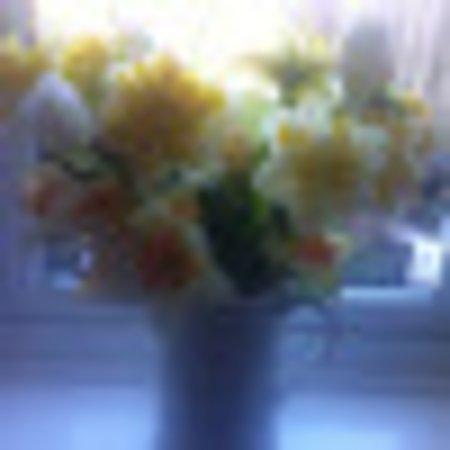 photo of ShortyShropshire