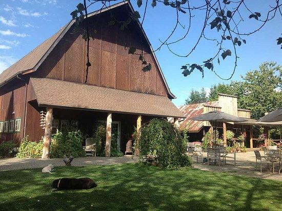 Mystic Mountain Farm B&B