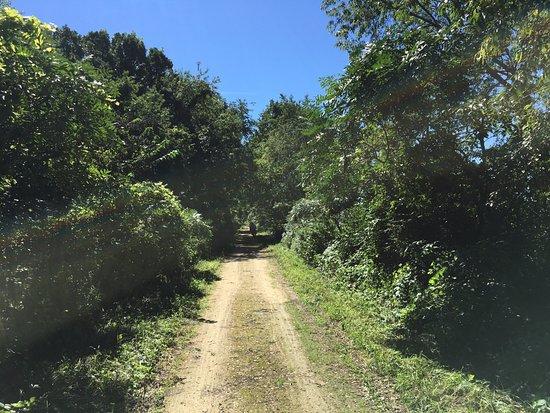 Military Ridge State Trail