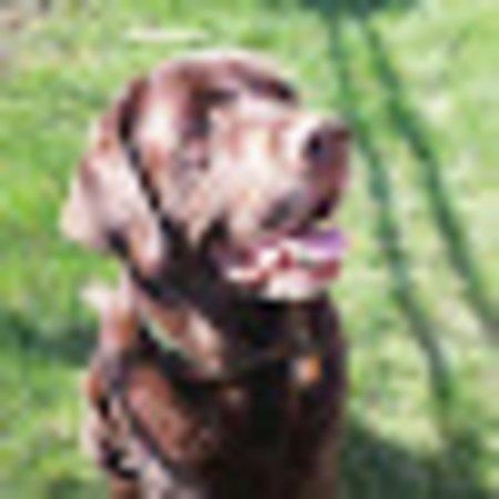 photo of jeffgX9638LZ