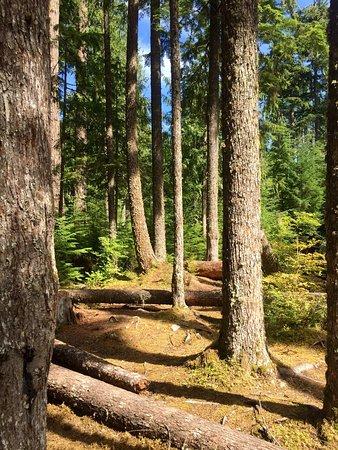 Heart O' Hills Campground