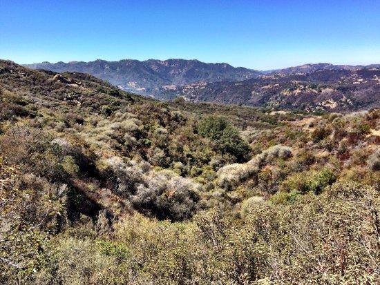 Photo by SebVancouverD