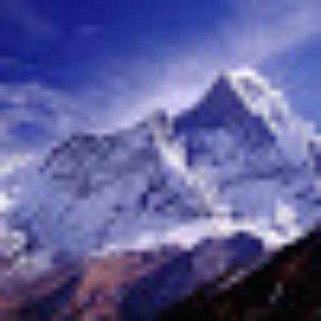 photo of V9173HUmichaeld