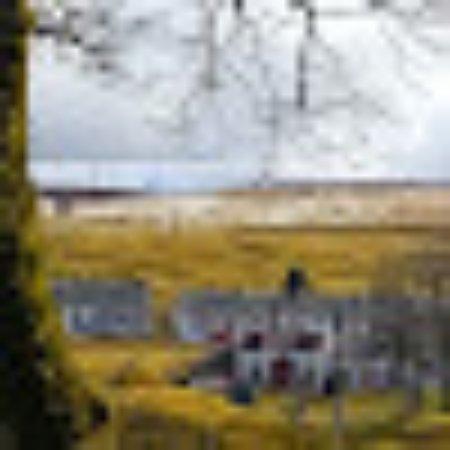 photo of L8944IEsusanp