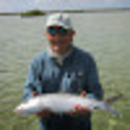 photo of H985MBcolinm