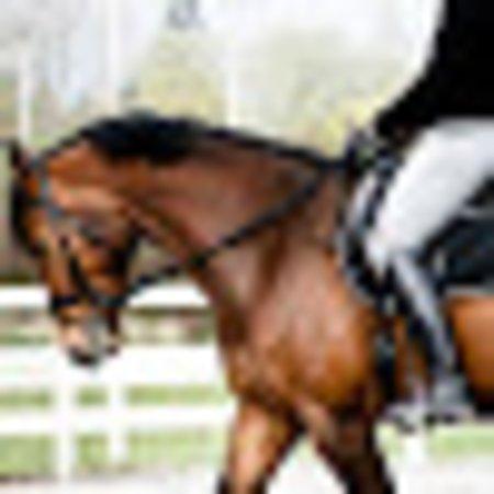 photo of lululikestoeat