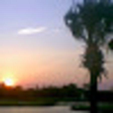 Photo of 491kf