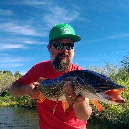 Yampa Valley Anglers