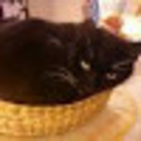 photo of 470brittmariek