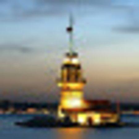 photo of H. Nilüfer K