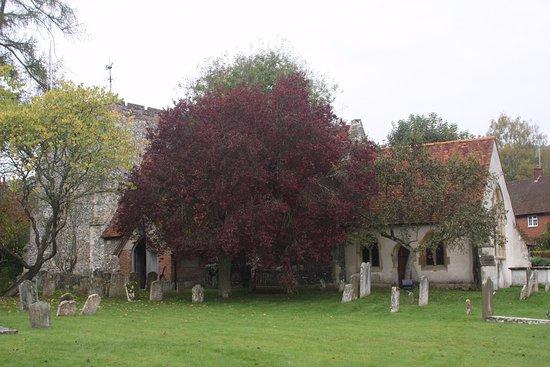 Photo by JerseyBeanFamily