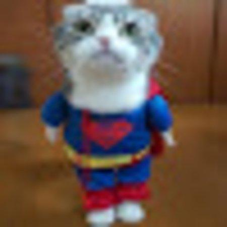 photo of FebryanMujahidP